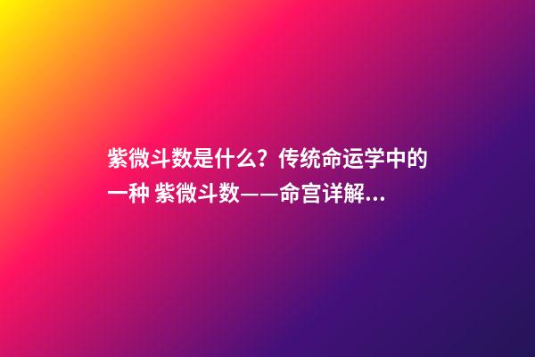 紫微斗数是什么？传统命运学中的一种 紫微斗数——命宫详解：看你命运如何-第1张-观点-玄机派